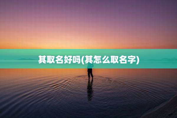 其取名好吗(其怎么取名字)
