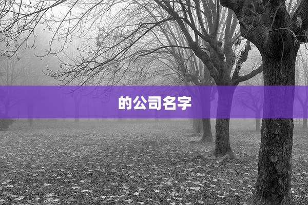 的公司名字