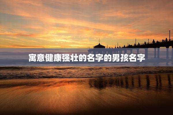 寓意健康强壮的名字的男孩名字
