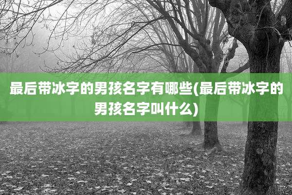最后带冰字的男孩名字有哪些(最后带冰字的男孩名字叫什么)