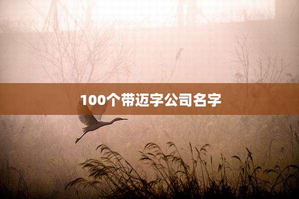 100个带迈字公司名字