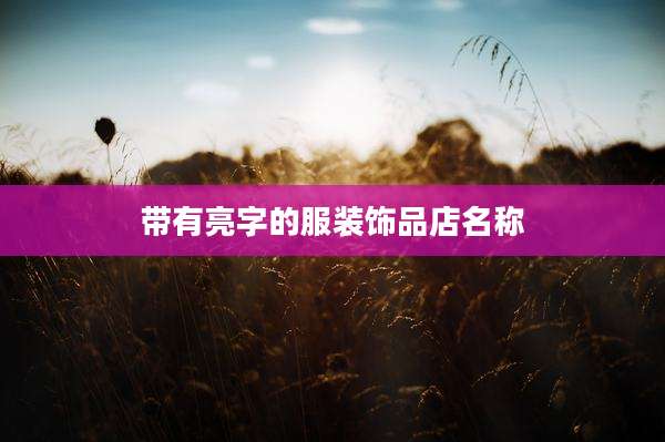 带有亮字的服装饰品店名称