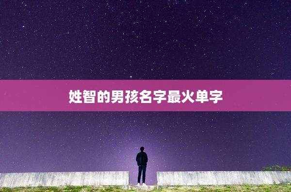 姓智的男孩名字最火单字
