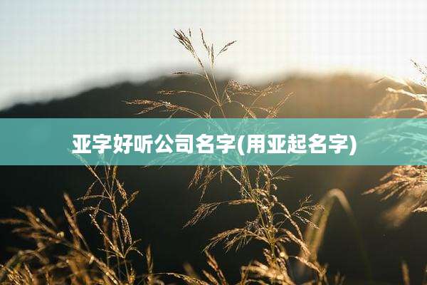 亚字好听公司名字(用亚起名字)