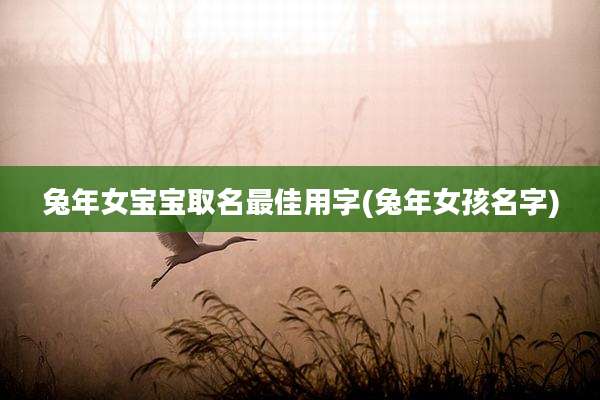 兔年女宝宝取名最佳用字(兔年女孩名字)