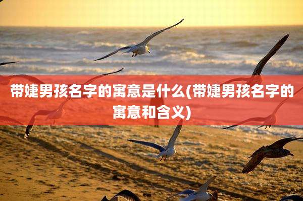 带婕男孩名字的寓意是什么(带婕男孩名字的寓意和含义)