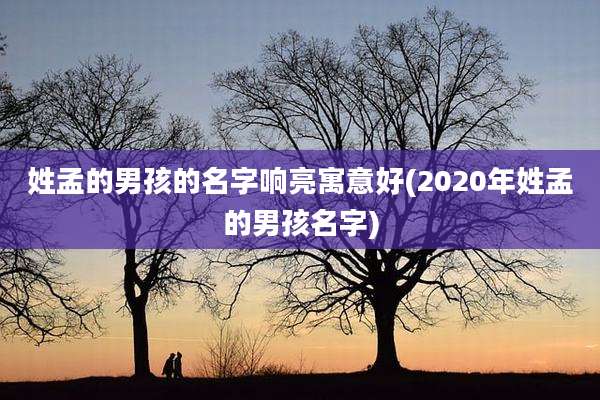 姓孟的男孩的名字响亮寓意好(2020年姓孟的男孩名字)