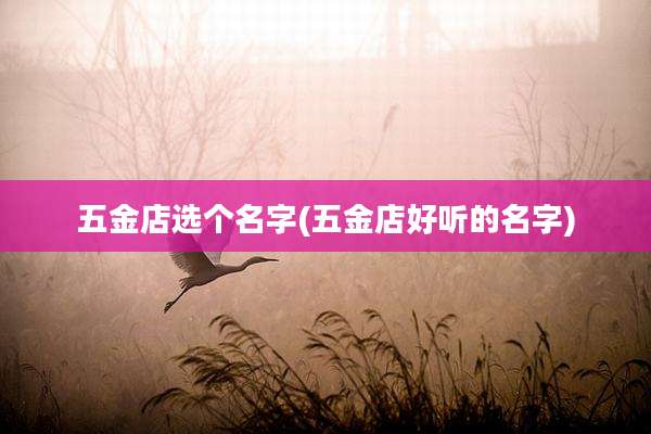 五金店选个名字(五金店好听的名字)
