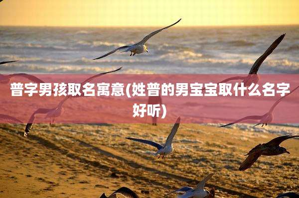 普字男孩取名寓意(姓普的男宝宝取什么名字好听)