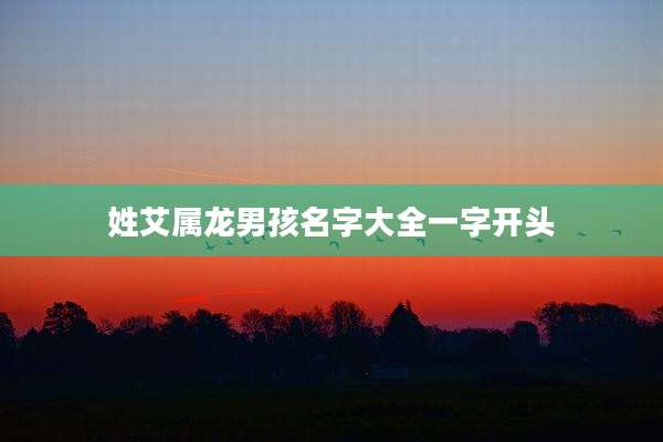 姓艾属龙男孩名字大全一字开头