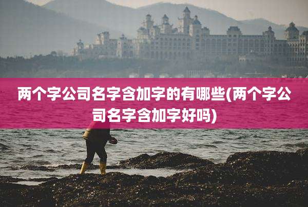 两个字公司名字含加字的有哪些(两个字公司名字含加字好吗)