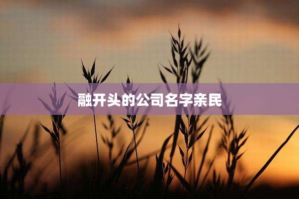融开头的公司名字亲民