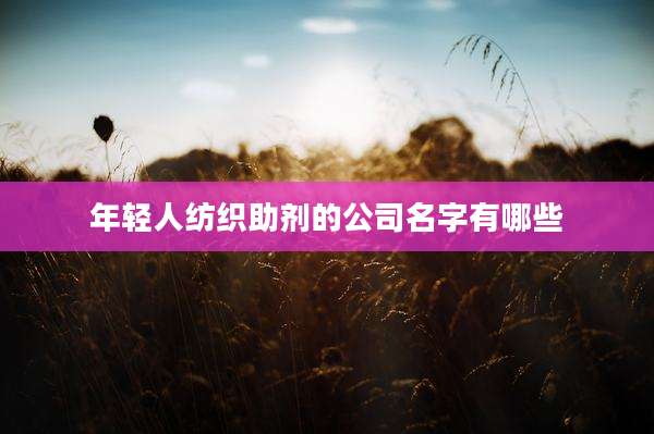 年轻人纺织助剂的公司名字有哪些
