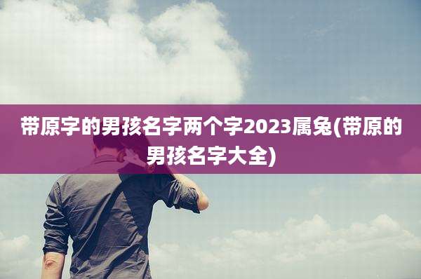 带原字的男孩名字两个字2023属兔(带原的男孩名字大全)