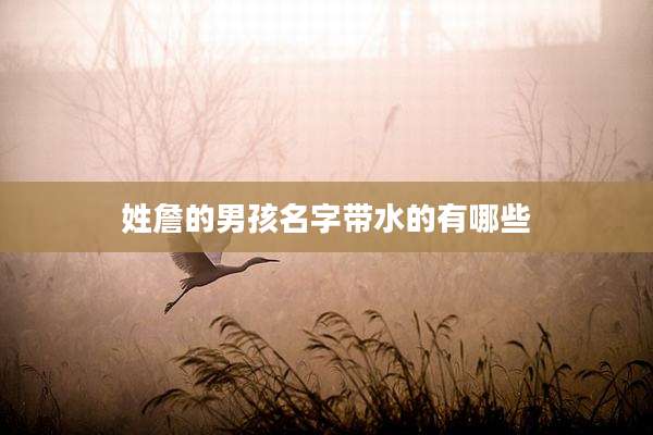 姓詹的男孩名字带水的有哪些