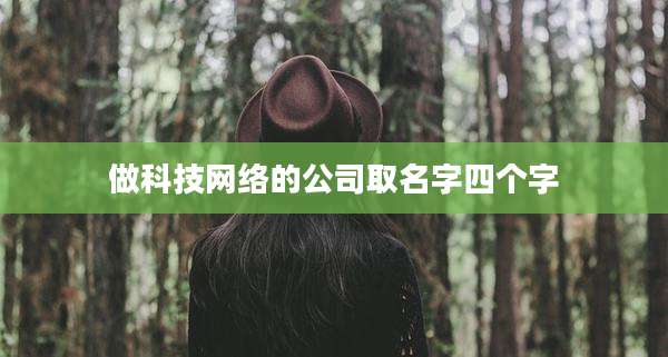做科技网络的公司取名字四个字