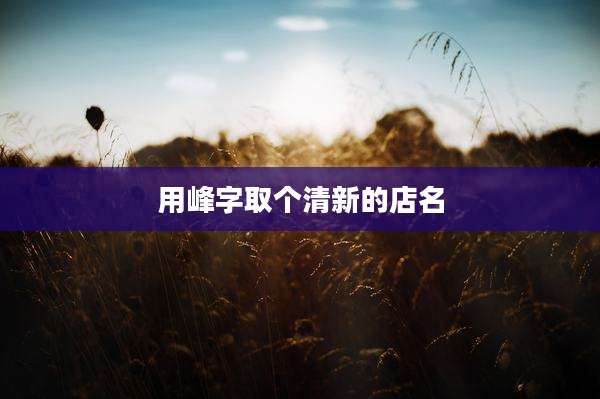 用峰字取个清新的店名