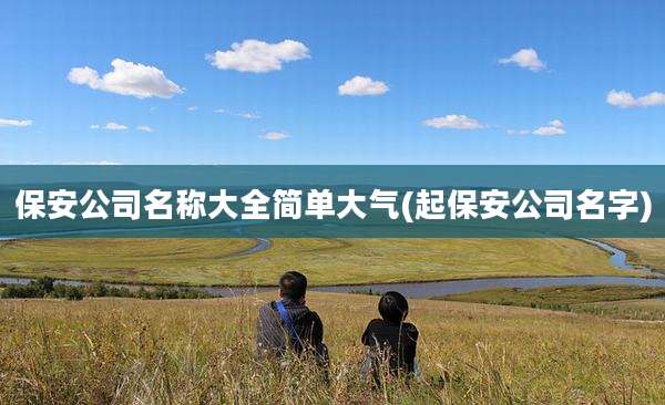 保安公司名称大全简单大气(起保安公司名字)