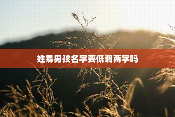 姓易男孩名字要低调两字吗