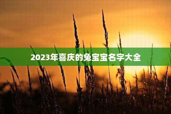 2023年喜庆的兔宝宝名字大全