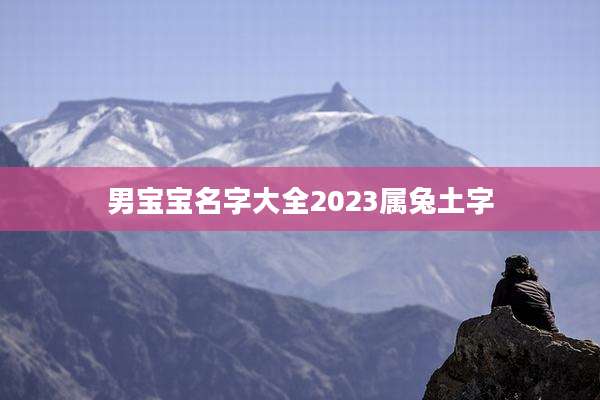 男宝宝名字大全2023属兔土字