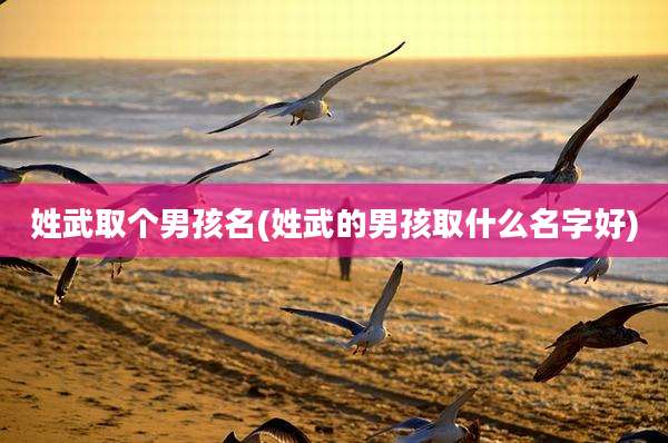 姓武取个男孩名(姓武的男孩取什么名字好)