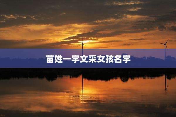 苗姓一字文采女孩名字