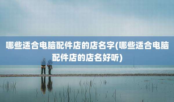 哪些适合电脑配件店的店名字(哪些适合电脑配件店的店名好听)