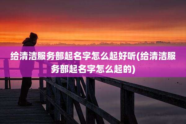 给清洁服务部起名字怎么起好听(给清洁服务部起名字怎么起的)