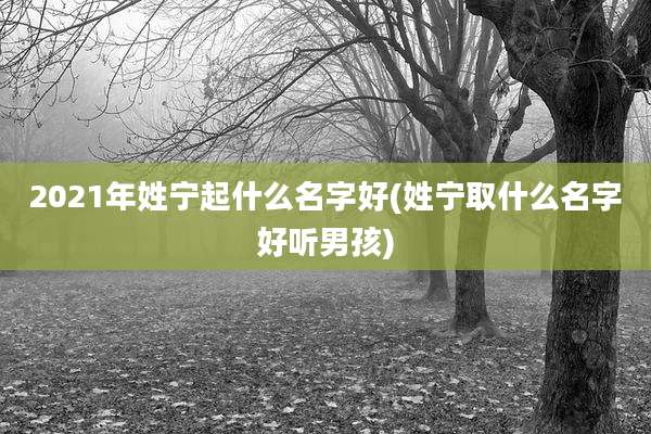2021年姓宁起什么名字好(姓宁取什么名字好听男孩)