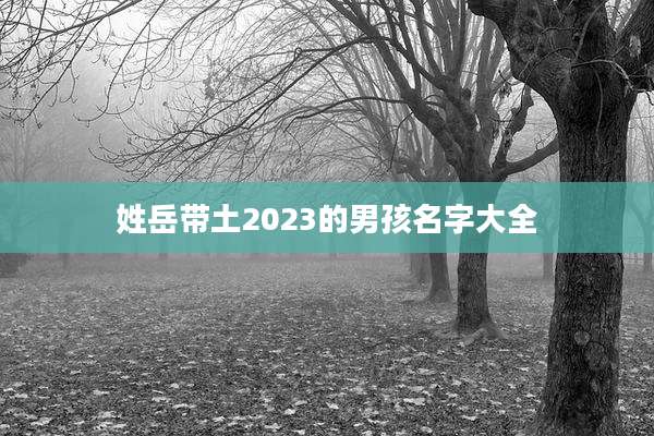 姓岳带土2023的男孩名字大全