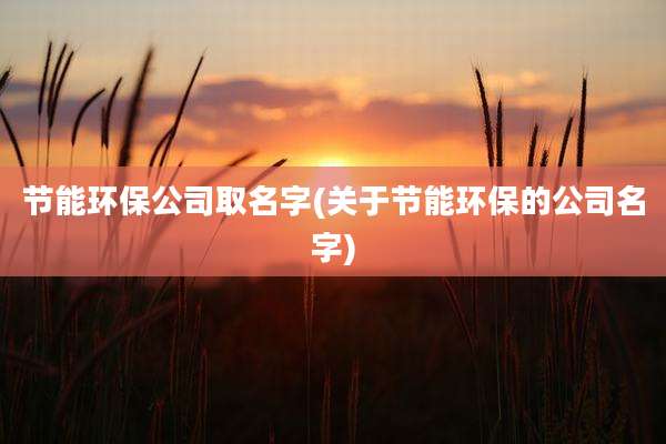 节能环保公司取名字(关于节能环保的公司名字)