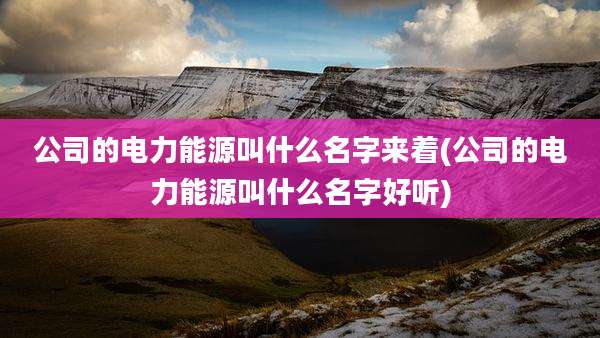公司的电力能源叫什么名字来着(公司的电力能源叫什么名字好听)