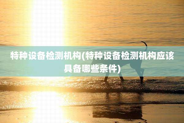 特种设备检测机构(特种设备检测机构应该具备哪些条件)