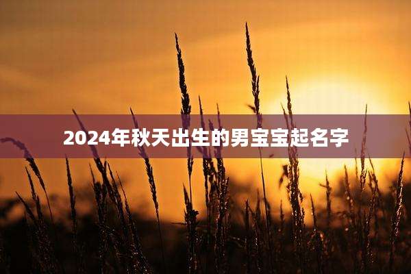 2024年秋天出生的男宝宝起名字