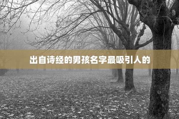 出自诗经的男孩名字最吸引人的