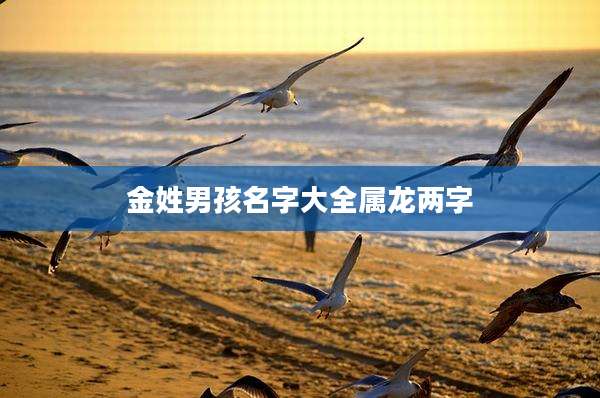 金姓男孩名字大全属龙两字