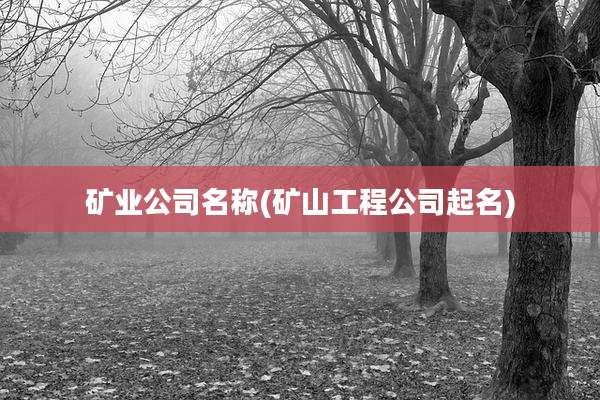 矿业公司名称(矿山工程公司起名)