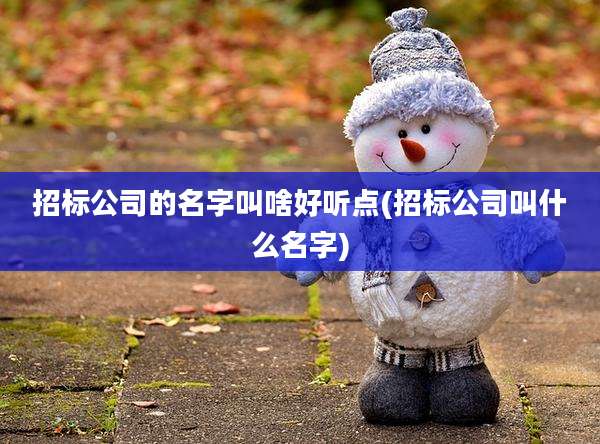 招标公司的名字叫啥好听点(招标公司叫什么名字)