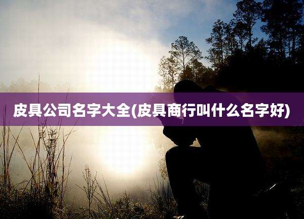 皮具公司名字大全(皮具商行叫什么名字好)