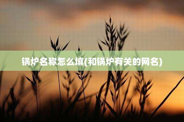 锅炉名称怎么填(和锅炉有关的网名)