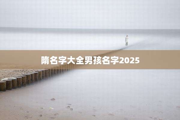 隋名字大全男孩名字2025