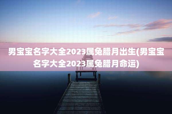 男宝宝名字大全2023属兔腊月出生(男宝宝名字大全2023属兔腊月命运)
