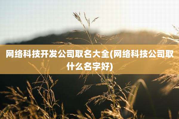 网络科技开发公司取名大全(网络科技公司取什么名字好)
