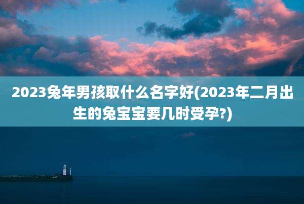 2023兔年男孩取什么名字好(2023年二月出生的兔宝宝要几时受孕?)