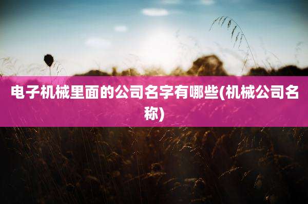 电子机械里面的公司名字有哪些(机械公司名称)
