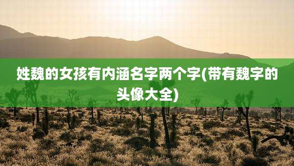 姓魏的女孩有内涵名字两个字(带有魏字的头像大全)