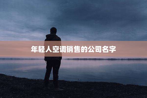 年轻人空调销售的公司名字