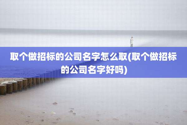 取个做招标的公司名字怎么取(取个做招标的公司名字好吗)