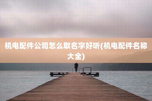 机电配件公司怎么取名字好听(机电配件名称大全)